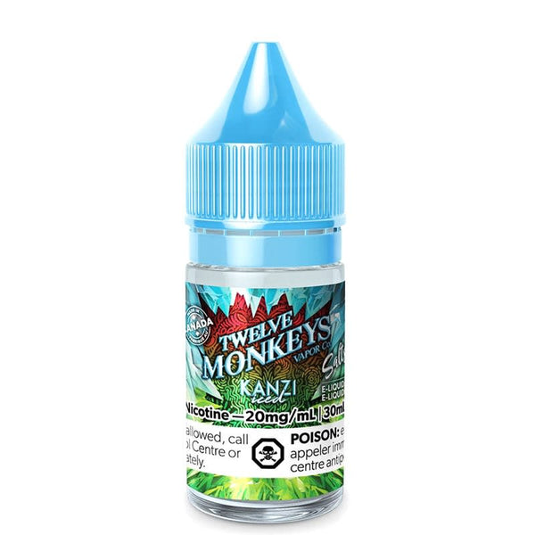 KANZI ICED BY 12 MONKEYS ICE AGE SALTS - 30ML