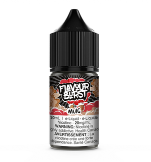 FLAVOUR BURST SALT NIC - 30ML